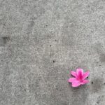 Bridget Moynahan Instagram - Sidewalk find. #nyc