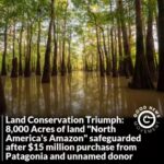 Bridget Moynahan Instagram - @patagonia is the hero of all companies! • #repost @goodnews_movement An 8,000-acre swath of southern Alabama clasped by the Alabama and Tombigbee Rivers has been acquired by The Nature Conservancy, which pulled together $15 million to protect the “Land between the Rivers” that is viewed as one of the most ecologically diverse areas in the world. Safeguarding the land from logging and development became a reality thanks to the multi-million dollar collaboration involving The Nature Conservancy in Alabama, Patagonia, and an undisclosed donor who contributed 2/3, $10 million, from their own pocket. “This is one of the most important conservation victories that we’ve ever been a part of,” Mitch Reid, state director for The Nature Conservancy in Alabama said. “It’s protected a vitally important complex of land, almost 8,000 acres, critically important to the health of the Mobile Delta and then, by extension, Mobile Bay and the Gulf of Mexico.”