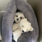 Brielle Barbusca Instagram - some old, some new, some wildly uncomfortable