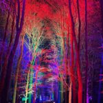 Briony May Williams Instagram - We had the most magical, lovely time at @cotswoldfarmpark yesterday meeting Santa and walking their Enchanted Light Trail ❤️ I’m feeling fully festive (I know it’s still November but I’m not even sorry 🤣). Thank you for inviting us, it was pure joy😊 #gifted #pr #invited
