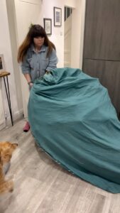 Briony May Williams Instagram - Top Christmas tree removal hack using a duvet cover 🎄 Save getting pine needles all through the house! #hack #lifehack #tree #christmastree #christmastreeremoval #tree #treehack #christmashack
