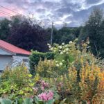 Brit Marling Instagram - last days… Alesund / Bergen / Hellesylt