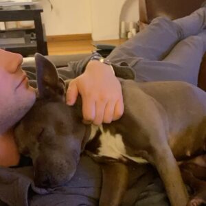 Britt Baron Instagram - Happy birthday absolutely obsessed w/u. The best dog dad in the biz and greatest (self tape) partner. Remy and I are so lucky. I can’t wait to marry u @tabermusic