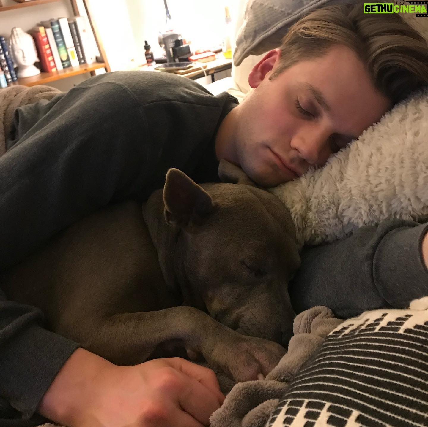 Britt Baron - 4.4K Likes - Happy birthday absolutely obsessed w/u. The best dog dad in the biz and greatest (self tape) partner. Remy and I are so lucky. I can’t wait to marry u @tabermusic