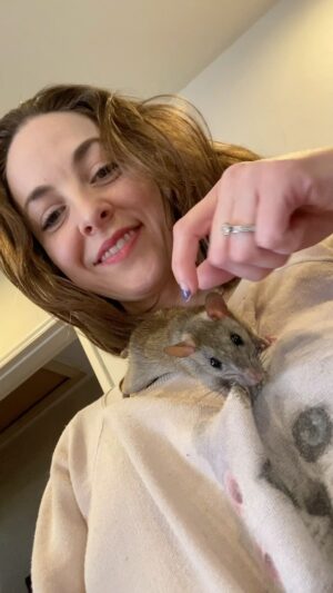 Brittany Curran Instagram - Big start to the week. Just explored Momma’s carmine floral antique chair for the first time. Non-stop thrill ride over here.
-Templeton 🐭😎

@templetontheroofrat 

#ratstagram #rescuerat #roofrat #mondaymood