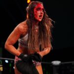 Brittany Baker Instagram - 3-17-21🩸 Forever a special day for me to have been in the first ever women’s main event on #AEWDynamite. I’m still the hardcore legend (sorry @realmickfoley). …and remember who really won D👇🏻M👇🏻D👇🏻