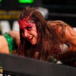 Brittany Baker Instagram - 3-17-21🩸 Forever a special day for me to have been in the first ever women’s main event on #AEWDynamite. I’m still the hardcore legend (sorry @realmickfoley). …and remember who really won D👇🏻M👇🏻D👇🏻