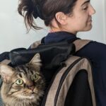 Brittany Raymond Instagram - Just got Sauble a new backpack for exploring! Can't wait for all the adventures 😻
