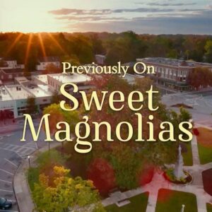 Brooke Elliott Instagram - Catch up on Season 1 of #sweetmagnolias before tomorrow—THE BIG DAY!! #sweetmagnoliasseason2 premieres Feb 4 on @netflix Here we go! 🌸🥂
#whattowatchonnetflix