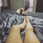 Brooke Leigh Thorne