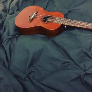 Brooke Leigh Thorne Instagram - Day 7! “She loves this thing. You can serenade her with it,” Sam said as he plucked around absently earlier today. Clarke seems to love the sound of the ukulele so tonight I sat and learned Mary Had A Little Lamb. My dad has played guitar since he was very little and has always felt negatively toward learning with tabs. For him, music is an art that deserves the full breadth of your attention and to skip learning the chords is a tragedy...but hopefully he’ll forgive me for learning a couple songs the easy way at the beginning to play for Clarke while she drifts off to sleep 🌙
