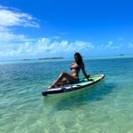 Brookliyn Wren