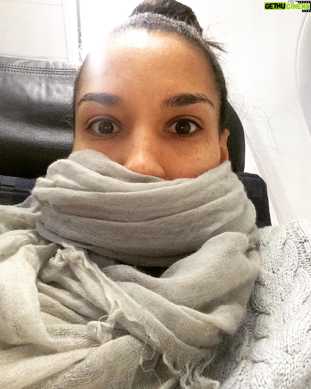 Brooklyn Sudano - 619 Likes - Scarves are great for 1. keeping your neck warm 2. masking the BO smell from the guy next to you on a cross country flight #waslikethisforfivehours