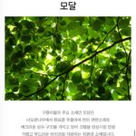 Byeon Jung-su Instagram - 저는 아무리 더워도 이불 안덮고는 못자거든요 바스락 소리나는것도 별루 🙈 그래서 출장 다닐때도 시설이 좋아도!! 이불 안좋으면 진짜 잠을 못자요! 혹시 이불 끌어 안고 자본적 있으세요? 정말 이불은 촉감이 좋으면 덮는게 아니라 안고 자게 되거든요!👩🏻‍🍼 시중에 너도 나도 구름이불 구름이불 하는데! ⛅️구름이불의 원조를 보여드릴게요!⛅️ ☁ 구름이불의 주요 소재는 꿀잠 자는 잠옷 소재로도 쓰이는 모달인게요 밤나무에서 원료를 추출하여 만든 천연소재로 매끄러운 섬유 구조를 가지고 있어 🪶깃털을 연상시킬 만큼 가볍고 부드러운 터치감을 자랑하는 친환경 소재에요! ✔️통기성과 흡습성이 좋아 항상 쾌적함을 느낄 수 있는 소재로 시원하고 포근하고 가벼워서 불볕더위에도 덮고 잘 수 있는 ‘구름모달이불’이에요! ⭕️제가 진짜 이불에는 까다로운데요⬇️⬇️⬇️⬇️⬇️⬇️⬇️⬇️⬇️⬇️ • 믿을 수 있는 국내산 제조 • 최고급 친환경 소재 사용 • 통기성, 흡습성, 보온성, 회복성, 풍성한 볼륨감 우수 • 머리카락 100분의 1 이하의 얇은 원사로 직조되어 알러지케어에 탁월 • 프리미엄 페더필 국내산 이불 솜 사용으로 향균 기능 • 털, 집먼지 진드기 등의 각종 유해 물질 차단으로 민감한 피부에도 적합 • 내습성, 속건이 좋아 건조가 빠른 특장점 • 깃털 같은 포근함과 부드러움 • 가볍고, 먼지, 보풀, 냄새가 없는 고퀄리티 복원력까지 높아서 장기간 사용에도 변형 없이 사용할 수 있어요👍🏻👍🏻 이 이불 한번 쓰시면 집에 이불 다 바꾸고 싶을거에요!🥰🥰🥰🥰 👁️‍🗨️여름구름냉감이불🔜5.27 9am open👁️‍🗨️ 우리 이따 8시봐요 꿀잠자게 !!!!