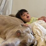 Ángeles Balbiani Instagram - Sólo intentaba peinarlo…