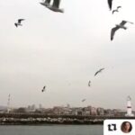 Çağla Özavcı Instagram - 🙇🏼‍♀️.