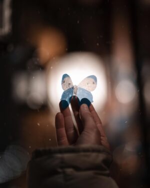 Élodie Routhier Instagram - 📸 @cedricfortin 

🦋Le papillon est un symbole de transformation. Par analogie à la vie de cet animal, la signification associée avec le papillon met l'accent sur la capacité de passer d'un état, d'une perspective, ou d'un mode de vie à un autre 

L’animal totem papillon  qui représente la joie, la beauté, la grâce et la légèreté de l’être. Dans le monde spirituel 🦋🤍 #christmas#magic