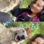 Özlem Tokaslan Instagram - Güzel dostum,evladım Hobbit, Adını kendi boyundan posundan, huyundan suyundan aldı. Küçük direnişçi her hava koşuluna, her zorluğa direndi. Her hafta çekim günü geldiğinde ona kavuşacağım anı iple çektim. Aramızda derin bir sevgi bağı kuruldu. Set günlerinin muhabbeti, mutluluğu oldu kavuşmak. Yedik, içtik, sarıldık… Son set günü boğazımda düğümle yere yanına oturdum söyleştim… Onu ve onun gibi sokakta ve her yerde can dostumuz olan, depremde, zorlukta yanımızdan hiç ayrılmayan tüm köpekleri ve her canlının yaşama hakkını sonuna kadar savunacağıma söz verdim. Bulunduğum herhangi bir yerde, herhangi bir zamanda hayvanlara zarar verecek herhangi bir çalışmaya asla izin vermeyeceğim. Ve Hobbit; biz kavuşacağız. Sana söz. #sokakhayvanlarısahipsideğildir #ölümyasasınahayır #izinvermeyeceğiz #tümsokakhayvanlarınizimleyaşayacak #mücadeleyehazırız #sokakhayvanları #hayvanhakları #aldatmak #tbmm @sokaklarbileyasakbize @banagozkulakol @infowarf @haytap @timsandb @aldatmakdizi