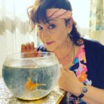 Özlem Tokaslan Instagram - Merhaba♥️🥰🍀🦋 Bu akşam saat:20:00’de, @foxturkiye ‘de buluşmak üzere💐 @kusursuzkiraci #kusursuzkiracı