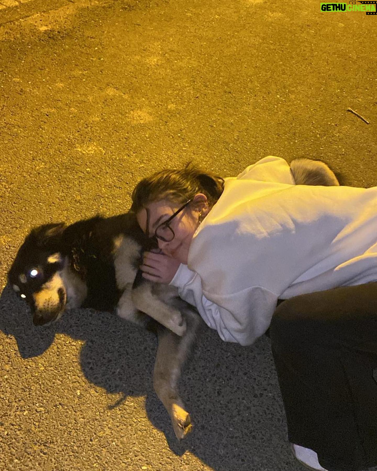 Ülkü Hilal Çiftçi Instagram - sarılmak,evet köpeğe🎈