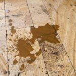 Ülkü Hilal Çiftçi Instagram - hello ben ve dumplarim geri donduk 🌹🌹 sona surpriz bir oglum biraktim🤓