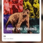 Ülkü Hilal Çiftçi Instagram - rastgele🧸