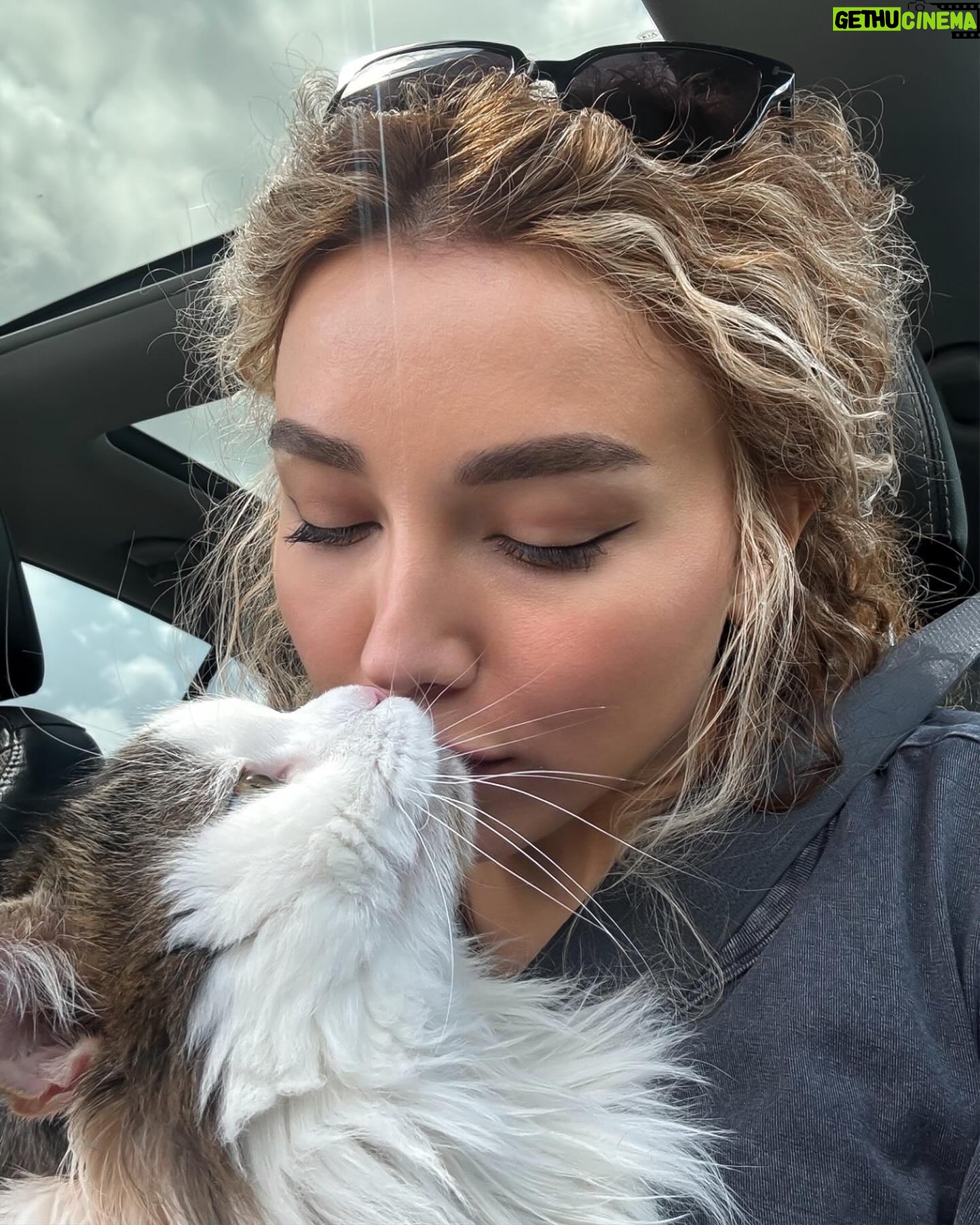 Üzel Kərimova Instagram - Honey’lə ilk uzun yol səfərimiz :) Darıxmışdım, yerində bişən qutab, qəndlə içilən samovar çayı üçün 🫠