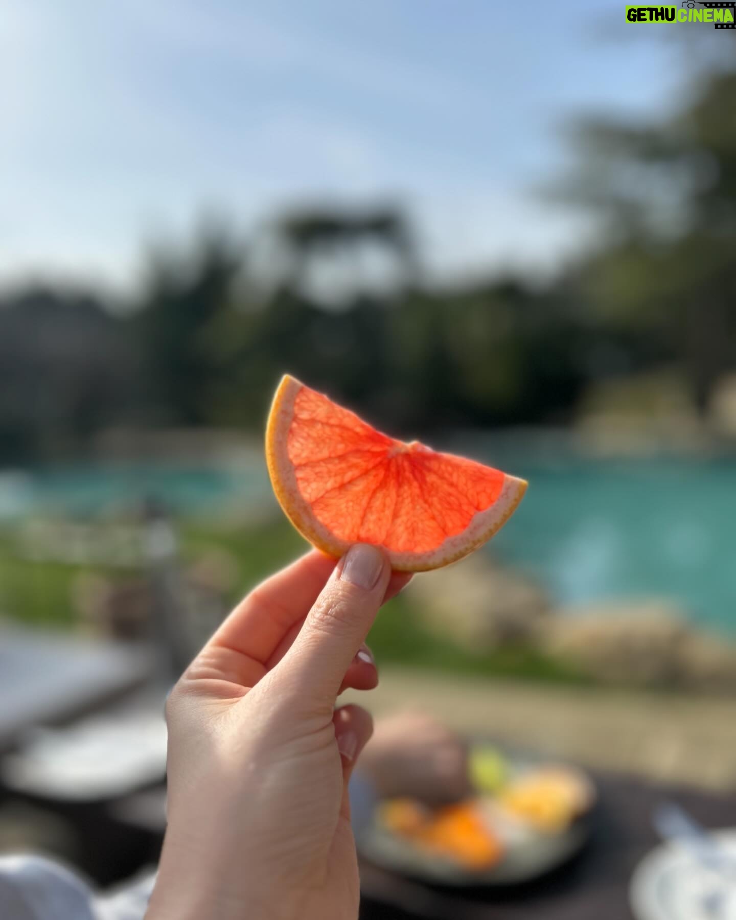 İdil Sivritepe Instagram - Greyfurtun güzel bir meyve olduğunu fark ettiğim verimli bir gün.