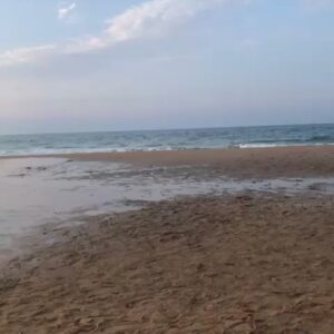İpek Bilgin Instagram - 