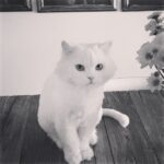 İpek Bilgin Instagram - dünya güzeliiiii