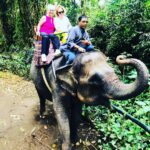 İpek Bilgin Instagram - #bali #ubud