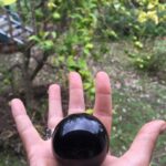 Şebnem Dönmez Instagram – The phrase that popped into my pocket, just before slipped into time: ‘trust what I say and do’ .. well ..what else i can do?