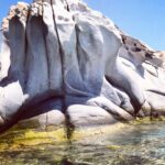 Şebnem Dönmez Instagram – The phrase that popped into my pocket, just before slipped into time: ‘trust what I say and do’ .. well ..what else i can do?