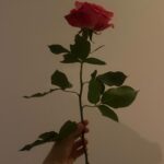 Şebnem Dönmez Instagram - O hep oynasın🧸
