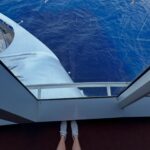 Caitlin Dechelle Instagram – POV: bridge tour from the sky princess 🚢
