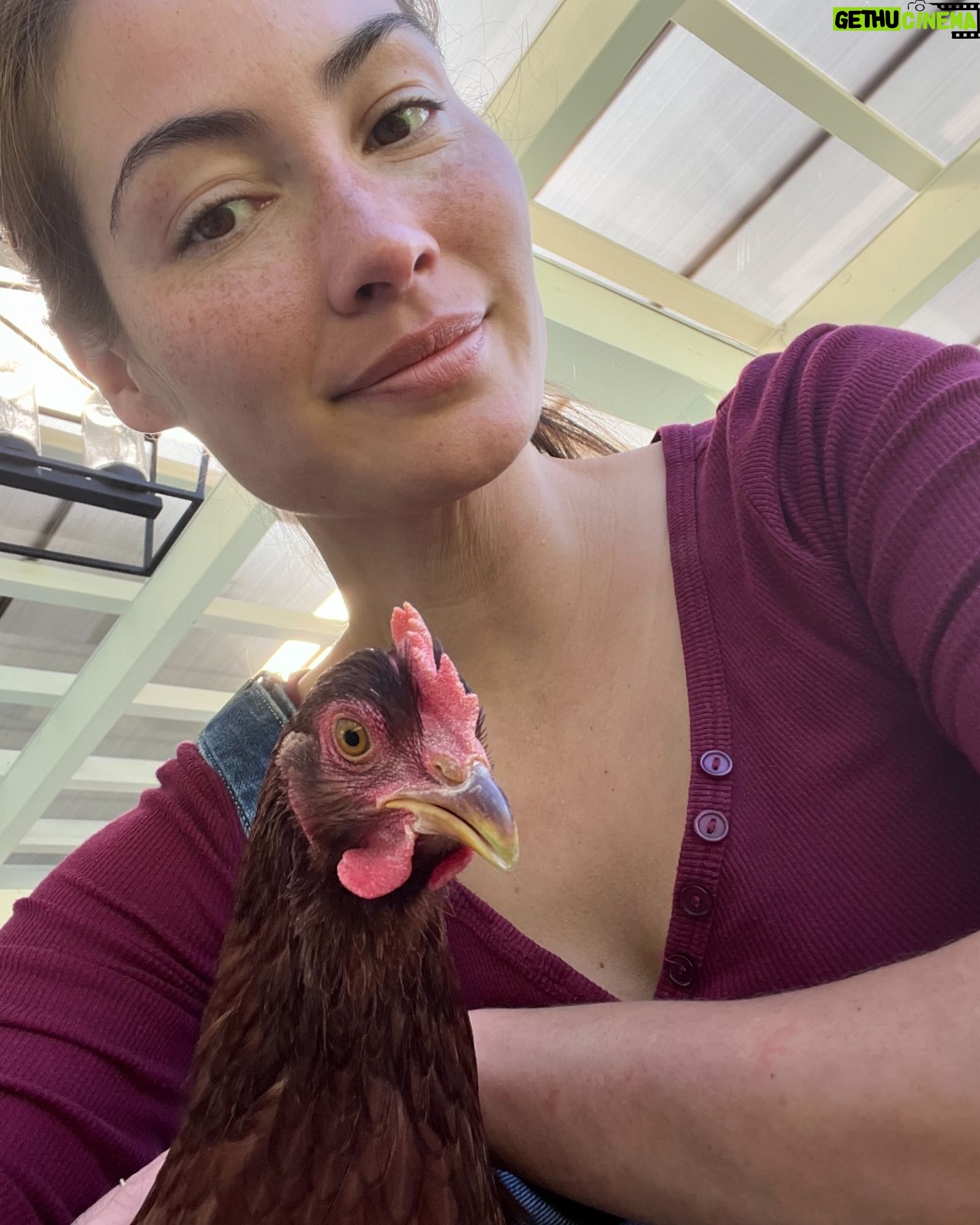 Caitlin McHugh Instagram - Grateful to spend so much of the weekend in the backyard with my favorite little ladies, especially Dorothea here, but it’s not lost on me the privilege of the freedom in these moments. I’m grateful to all those who have lost their lives in defense of this freedom. I also reflect on the lives lost this weekend in Rafah. So many innocent children and women killed in that brutal attack, and it continues. I wish all in the world may feel peace, and freedom. The war machine benefits so few and destroys the lives of everyone else. How can we dismantle it? Asking on behalf of humanity. #Alleyesonrafah #memorialday