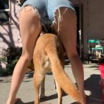 Caitlin Stasey Instagram – Face down ass up that’s the way I like my friends to wash my dogs