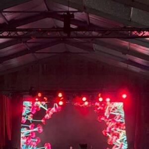 Camila Lucciola Instagram - bem vindos a frequência do agora @sonarfestival