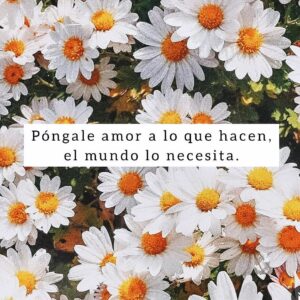 Camila Selser Instagram - @corazon.mutable 🌸
"Put love into what you do, the world needs it"