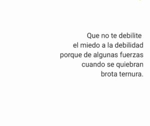 Camila Selser Instagram - 