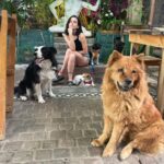 Camila Hirane Instagram - Con las chiquillas aquí queremos contarles que el @clubdeperrosygatos.cl estará abierto todos los días este fds. GRACIAS CLUB DE 🦮🦮y 🐈‍⬛🐈‍⬛ por ayudarme a darle siempre lo mejor a mis perritas (que son 2, las demás son prestadas😅) Agradecimiento aparte a @restoranpadthai por ser el mejor restoran y el mas pet friendly! y a la fotógrafa y dogmegalover @catadelacerda