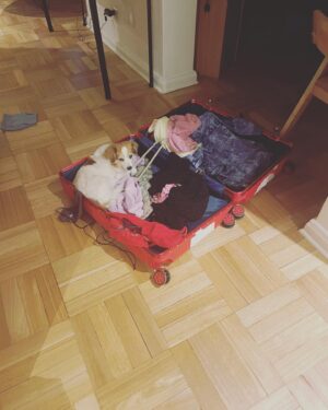 Camila Hirane Instagram - resumen