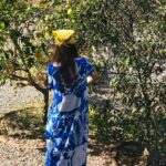 Camila Mateos Instagram – Limonero y otros cuentos 💛
