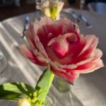 Camila Raznovich Instagram – Buonasera dal Golfo dei poeti…. #lerici #borgodeiborghi2024 #tvshow #golfodeipoeti