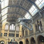 Camila Raznovich Instagram - A day at the National History museum…. #london🇬🇧 #easter2024 #travelling #buildingmemories #soleeviola💜