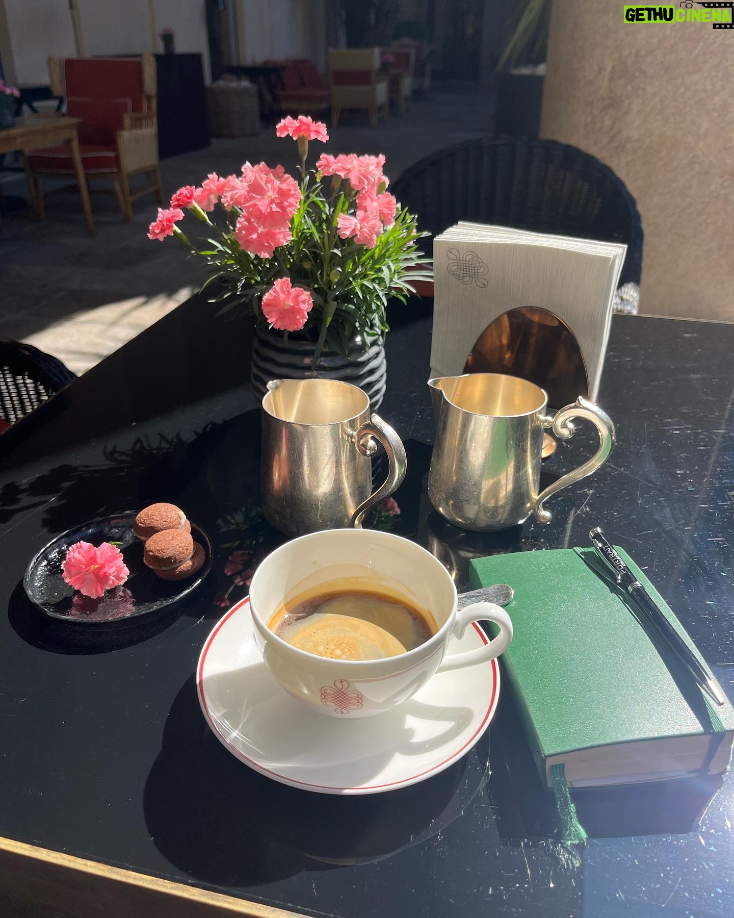 Camila Raznovich Instagram - Buongiorno Milano! #mdw2024 #morningcoffee #specialplace #sunnyday