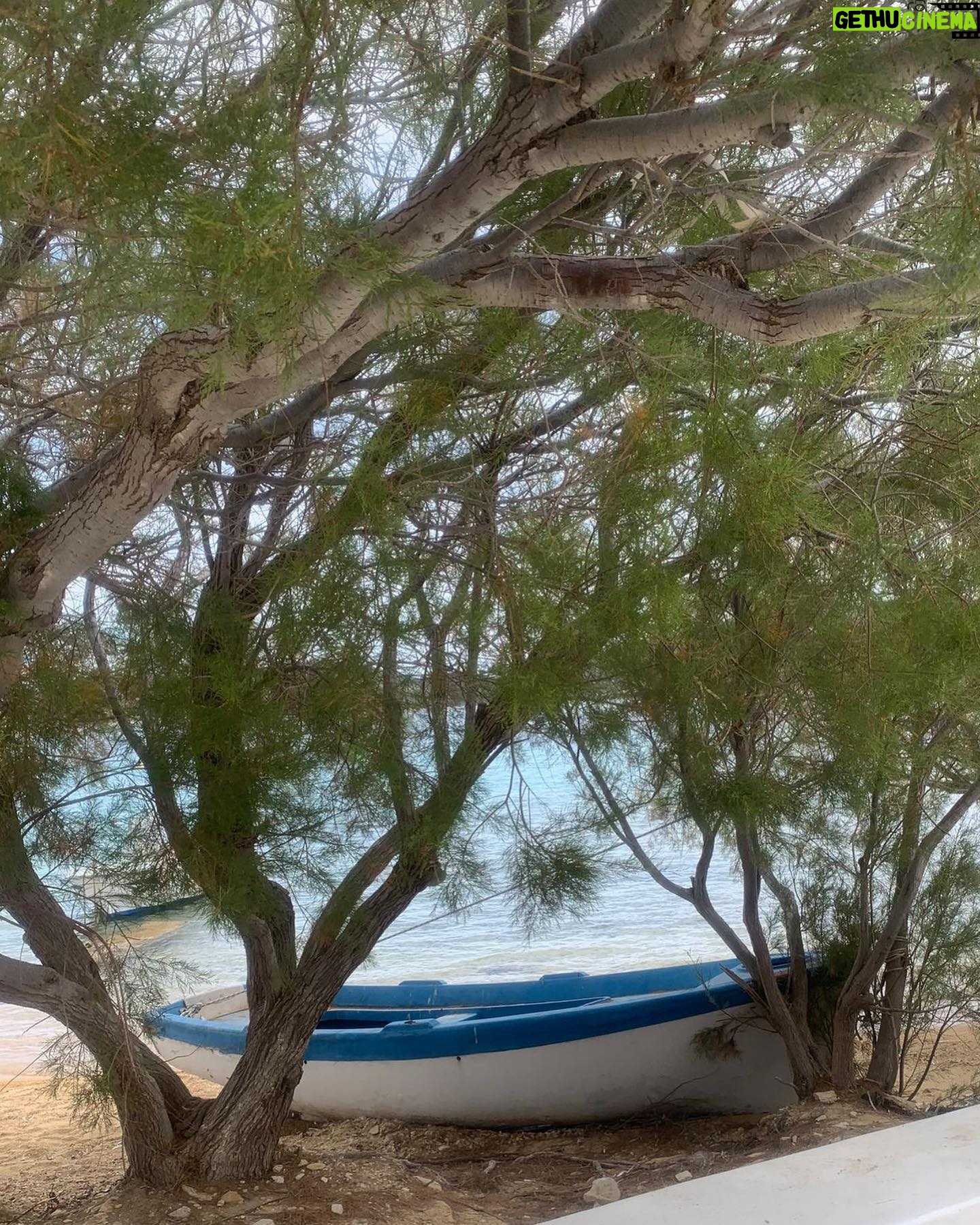 Camila Raznovich Instagram - Greek days … #antiparos #greece🇬🇷 #timeoff #may2024 #buildingmemories