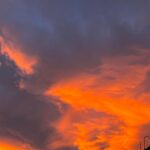 Camila Rivas Instagram - La muerte, es vida… 🧡✨ Llego una de mis épocas favoritas por mucho. Otoño con ojitas color café, mi pan sabor a naranjita, las flores del color del atardecer, y recordar a esas personitas que ahora forman parte de los atardeceres color cempasúchil. 🧡✨ #photography #octubre #noviembre