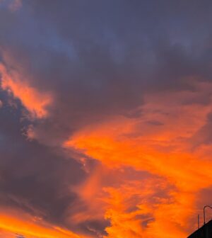 Camila Rivas Instagram - La muerte, es vida… 🧡✨

Llego una de mis épocas favoritas por mucho. Otoño con ojitas color café, mi pan sabor a naranjita, las flores del color del atardecer, y recordar a esas personitas que ahora forman parte de los atardeceres color cempasúchil. 🧡✨

#photography #octubre #noviembre