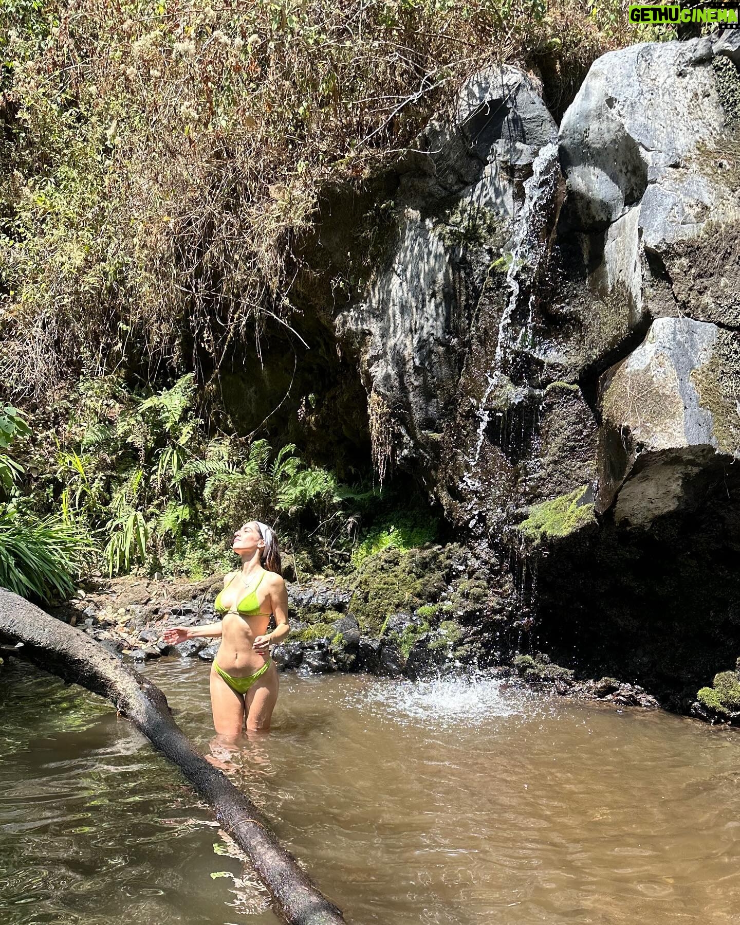 Camila Valero Instagram - spring has sprung!!! πΈπ·πΌπΈπ·πΌπΈπ·πΌ